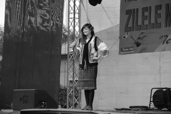 Zilele orașului Dorohoi 2014